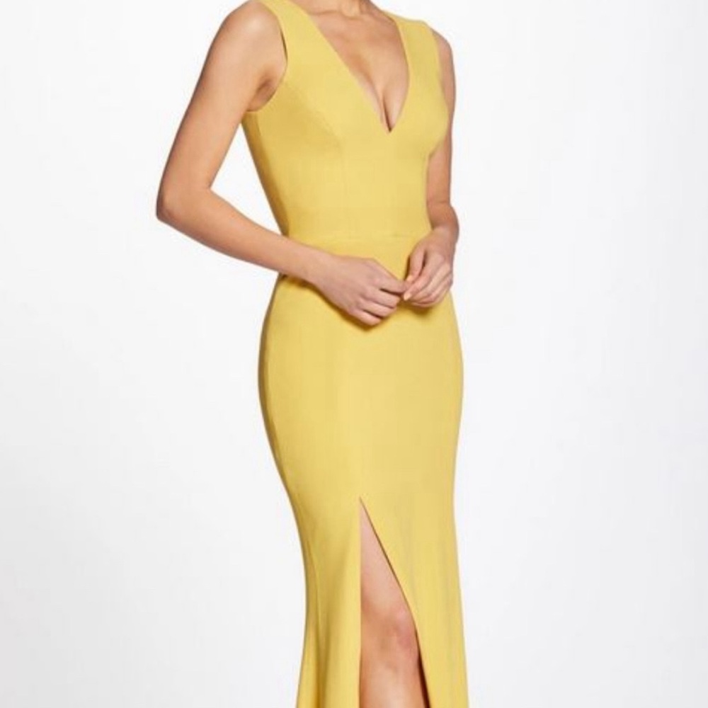 Dress the Population Sandra Gown